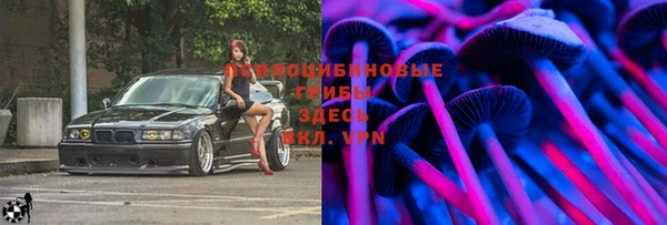 стафф Балахна